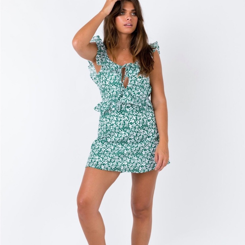 Princess Polly Dress